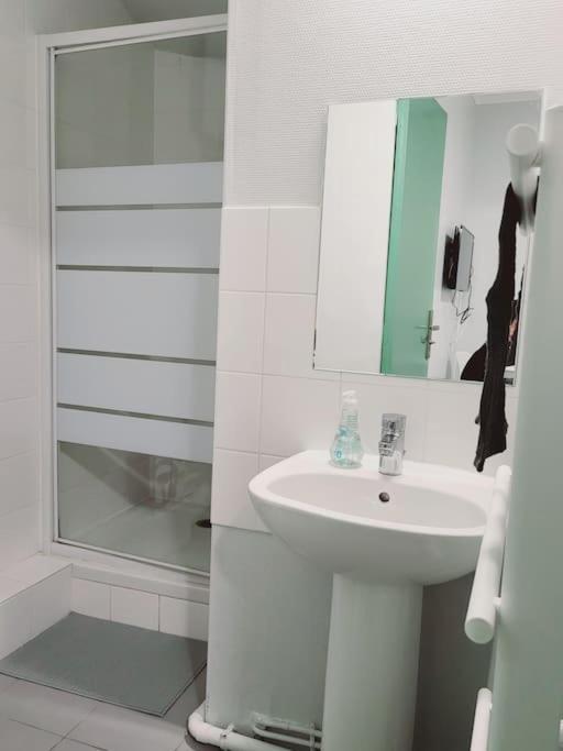 פיירפיט-סור-סיין Appartement Proche Disneyland Parc Asterix "Appart'4" מראה חיצוני תמונה